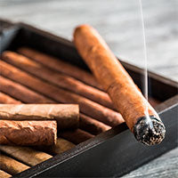 MASS MARKET CIGARS