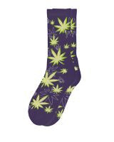 BLAZING BUDDIES SOCKS