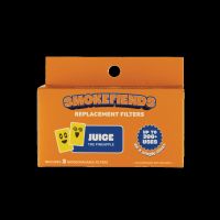 SMOKE FIEND REPLACEMENT FILTERS